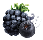 Crno voće